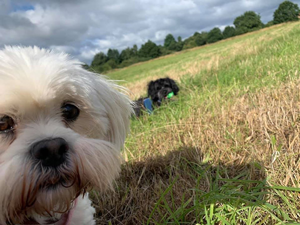 Barney & Lotty