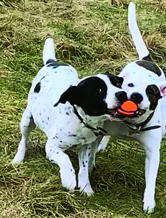 Max & Polly